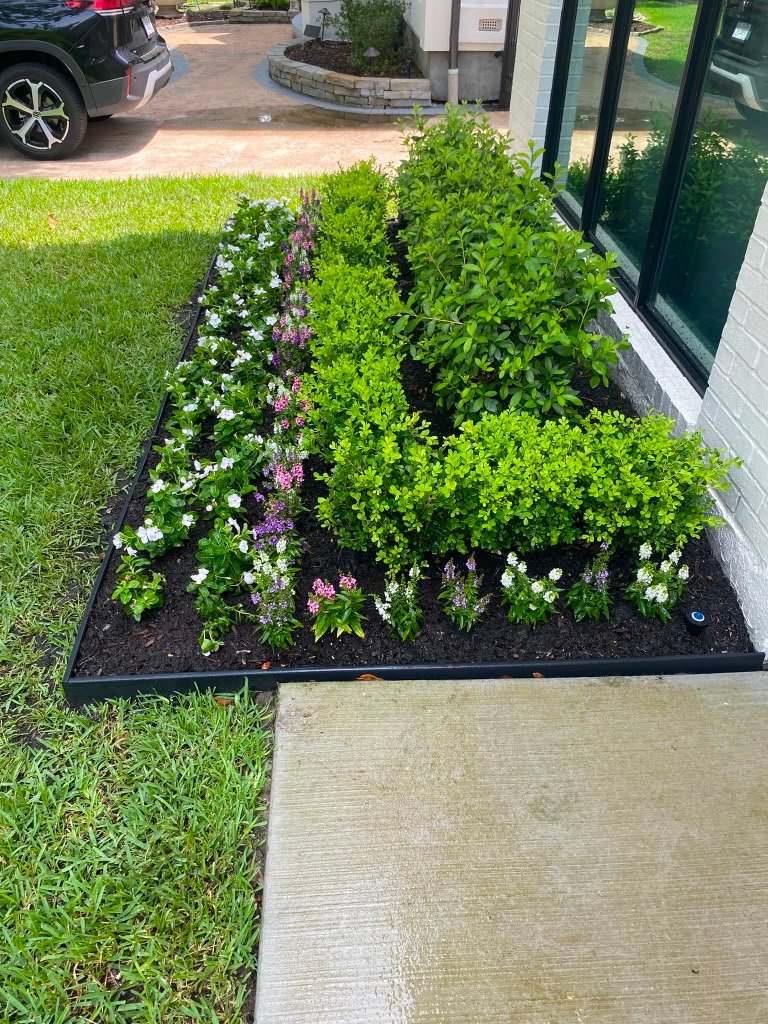 Landscape planting detail completed in Houston